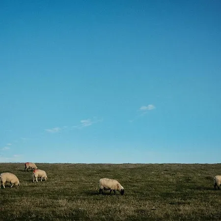 Wunderschoene Direkt Am Mit Whirlpool & Sauna דירה *