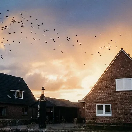 Wunderschoene Direkt Am Mit Whirlpool & Sauna * 北滩岛