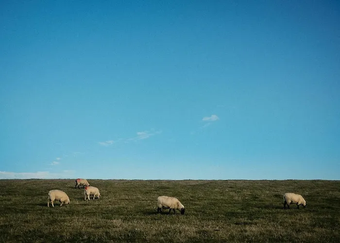 Wunderschoene Direkt Am Mit Whirlpool & Sauna Apartamento *